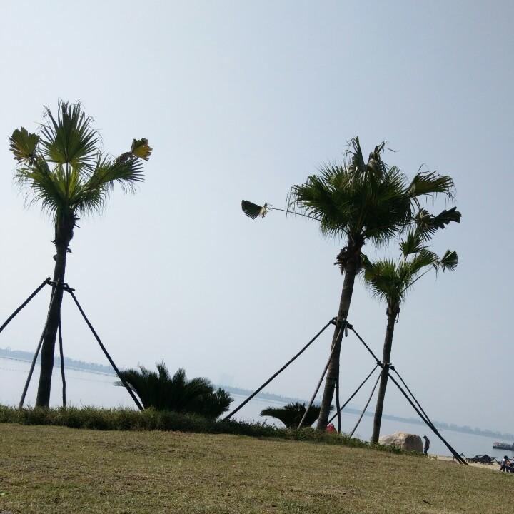 简单