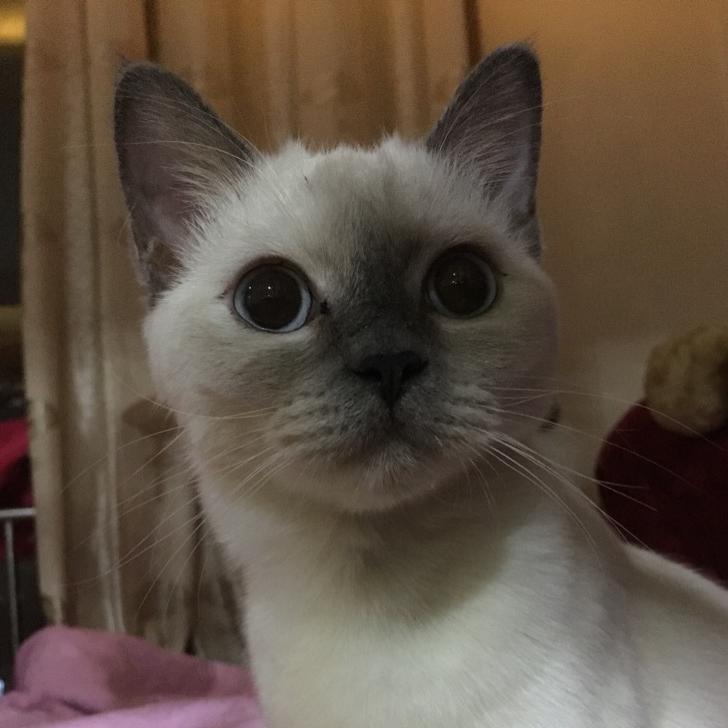 斗士⊙▽⊙