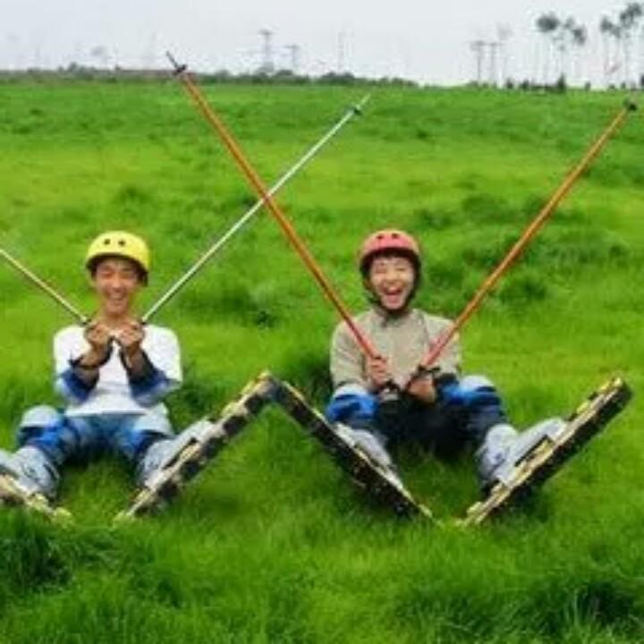 顺其自然