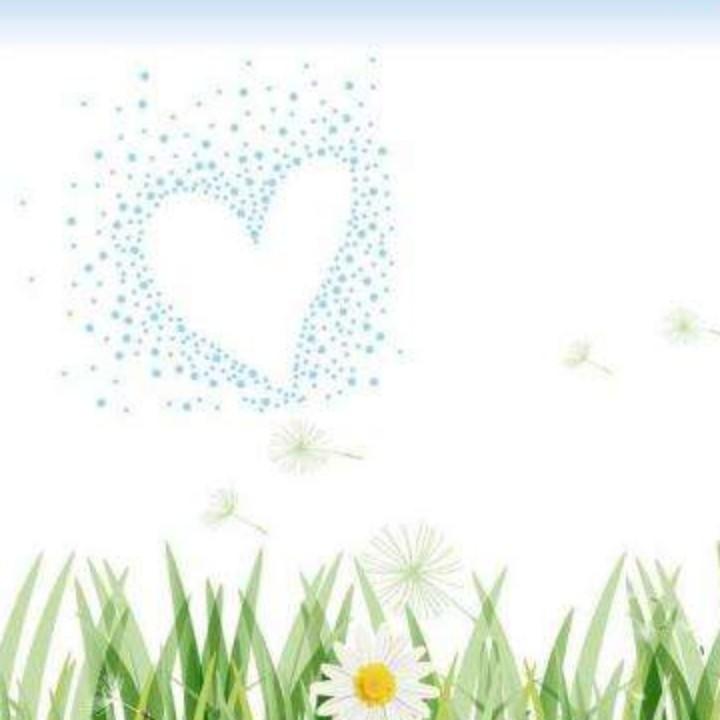 蒲公英@
