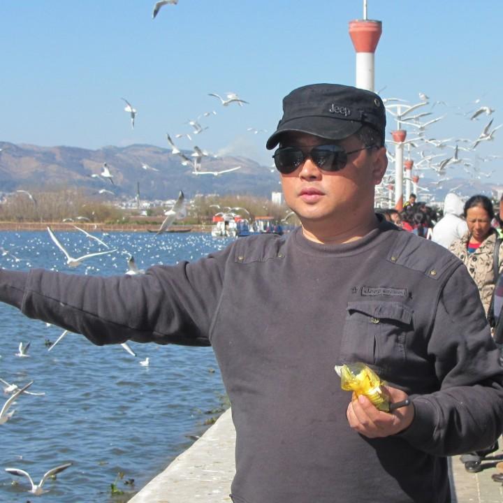 雪松