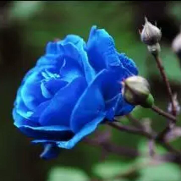 真真移动柴火灶厂家