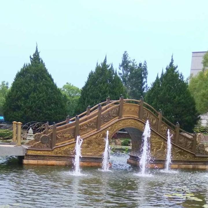 常青树