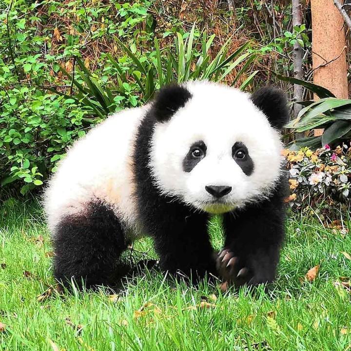 止戈为武