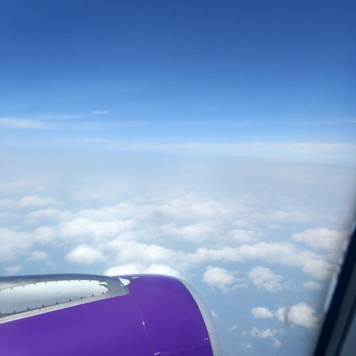 一箭双雕
