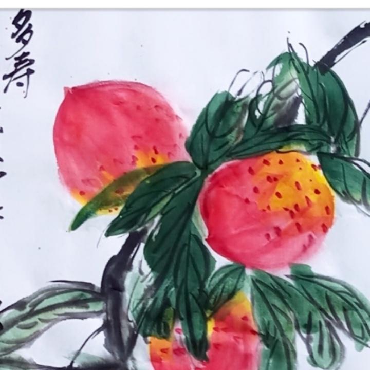 闲游街边小壁虎