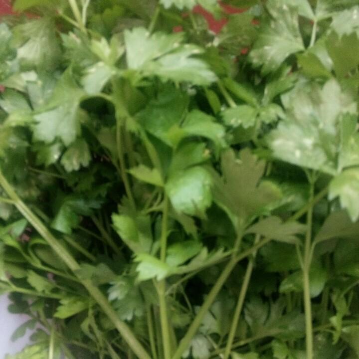 虎妞