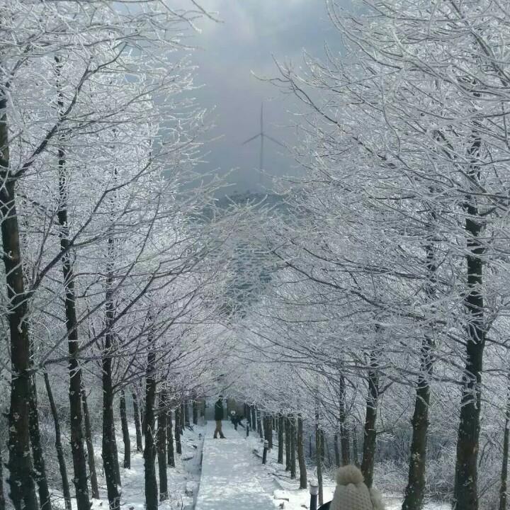 🥀ꦿ꯭暖心小火卢