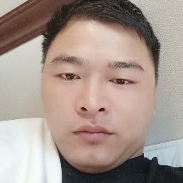 批发煤的煤二哥