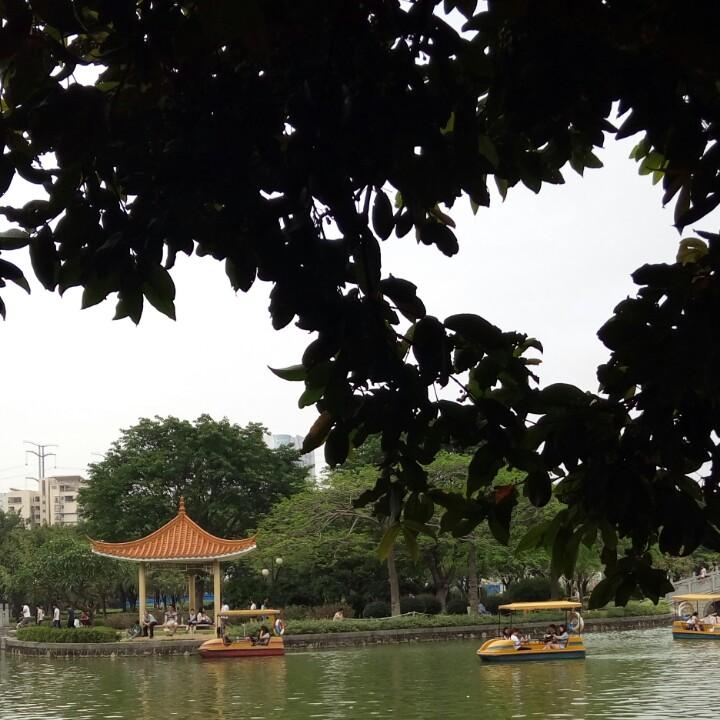魅蕾个护