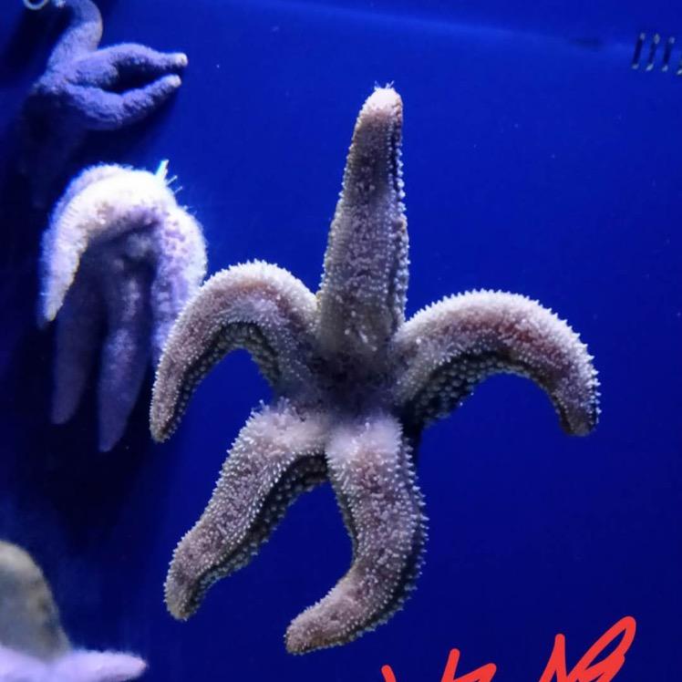 请叫我“下一个”