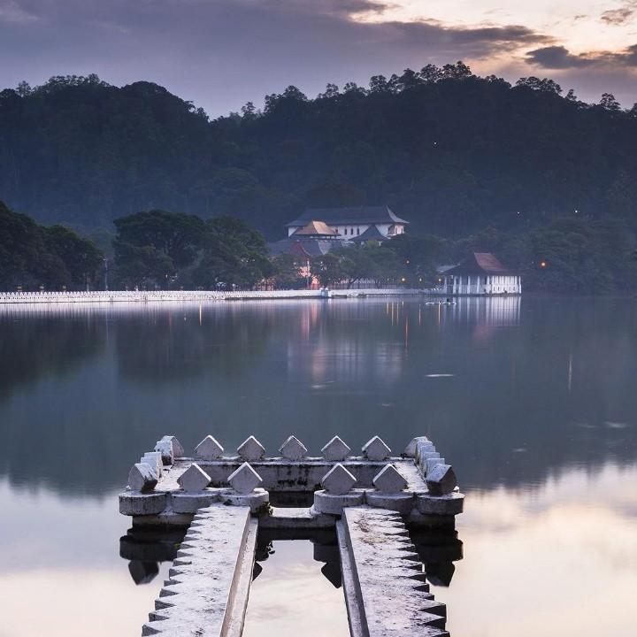 在河之洲