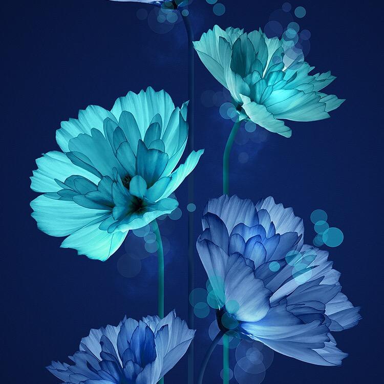 手机用户93159706008