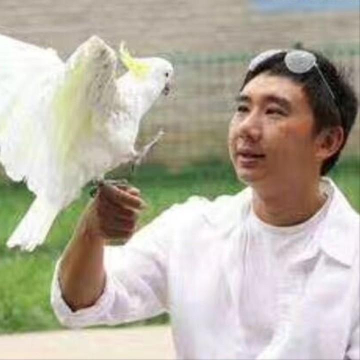 首席铲屎官