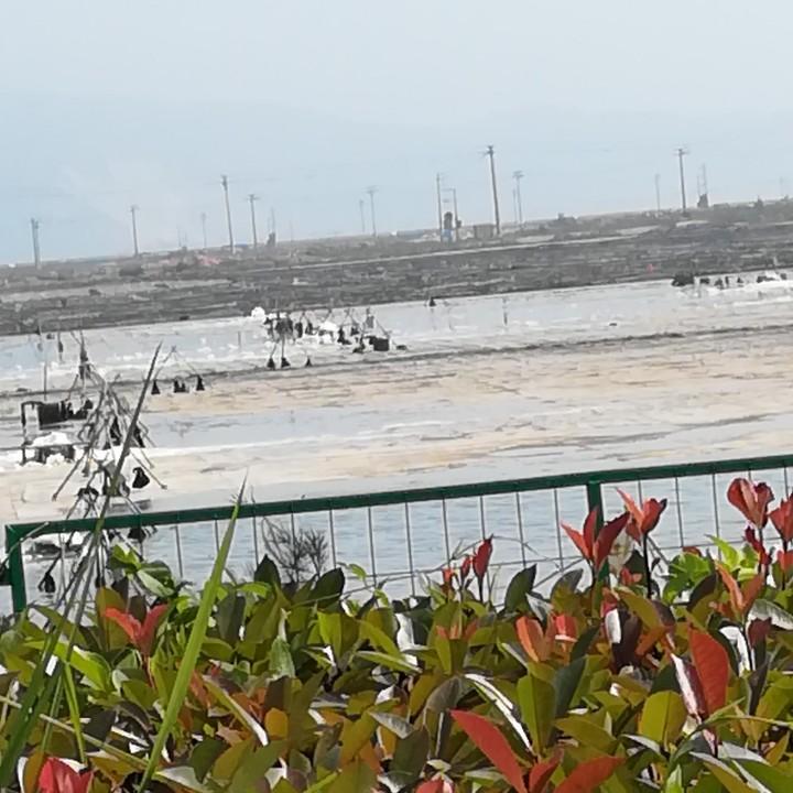 董