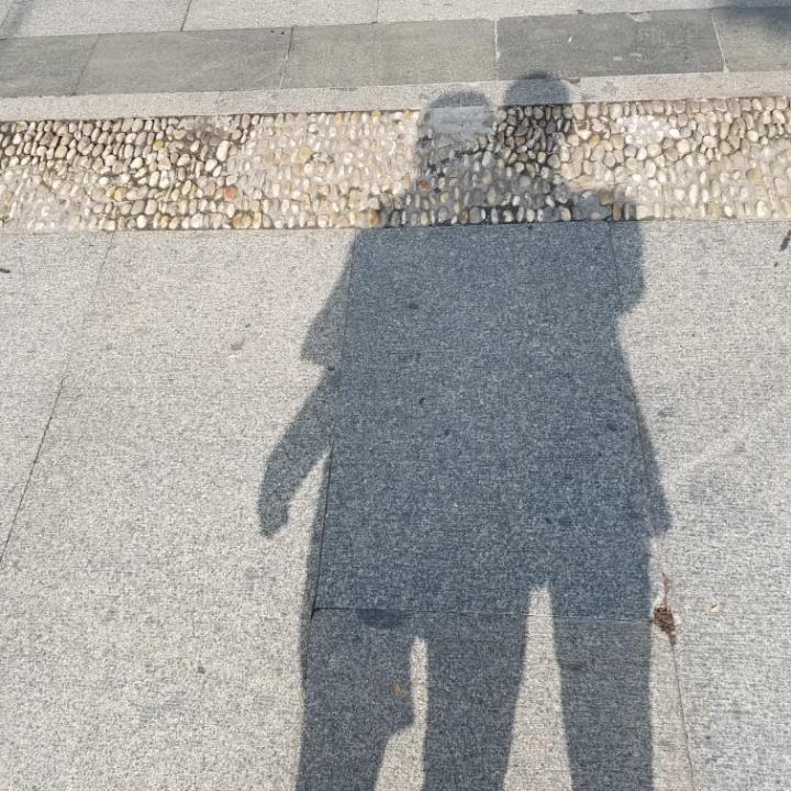 龙林园艺