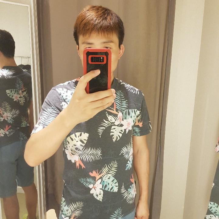 柴柴柴的柴