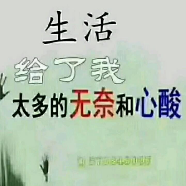泪桥