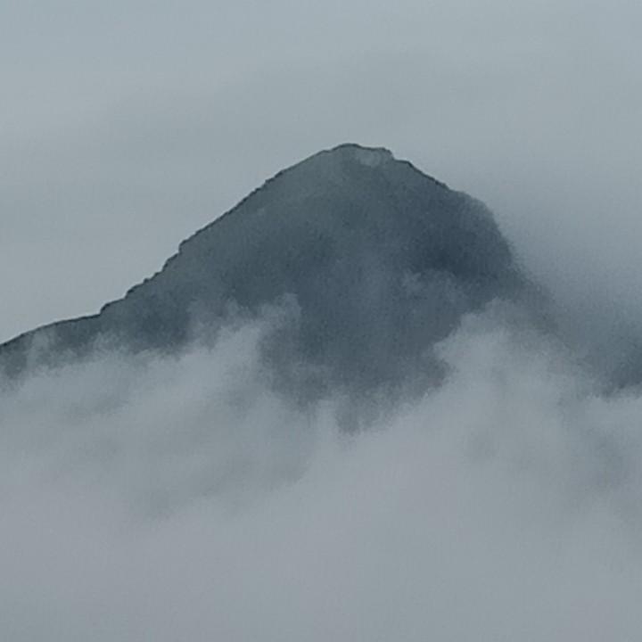 莫者