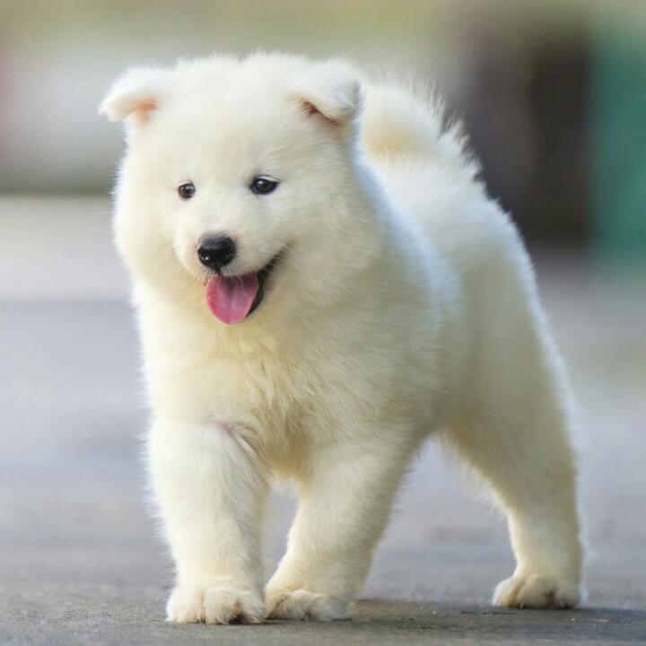 爱的抱抱