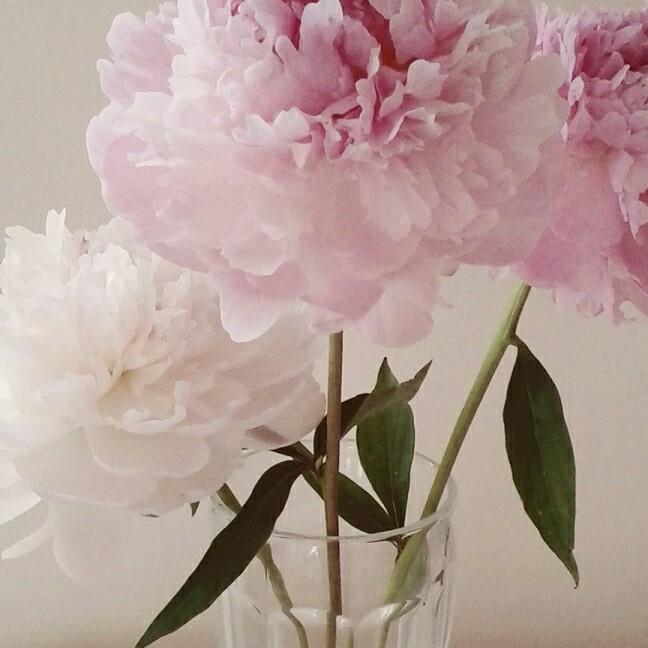 万事胜意(´｡✪ω✪｡｀)