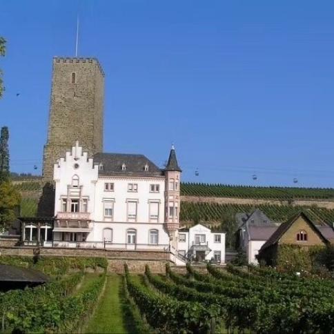 名庄、小酒、老酒