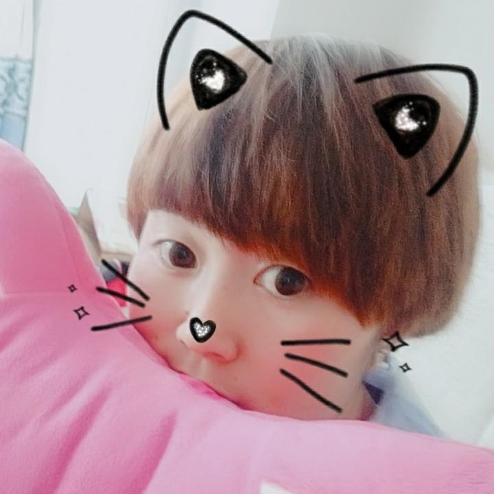 木雨轩