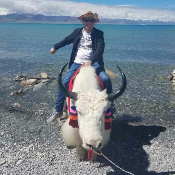 停哥
