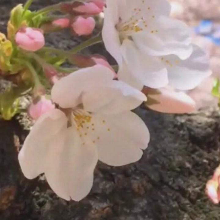 屋檐