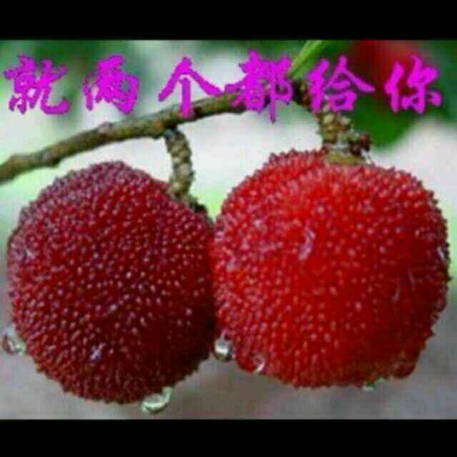 一生无悔专业不锈钢防盗门窗