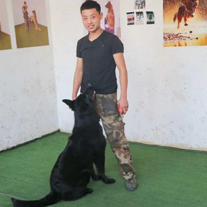 山西犬语训练营～阳