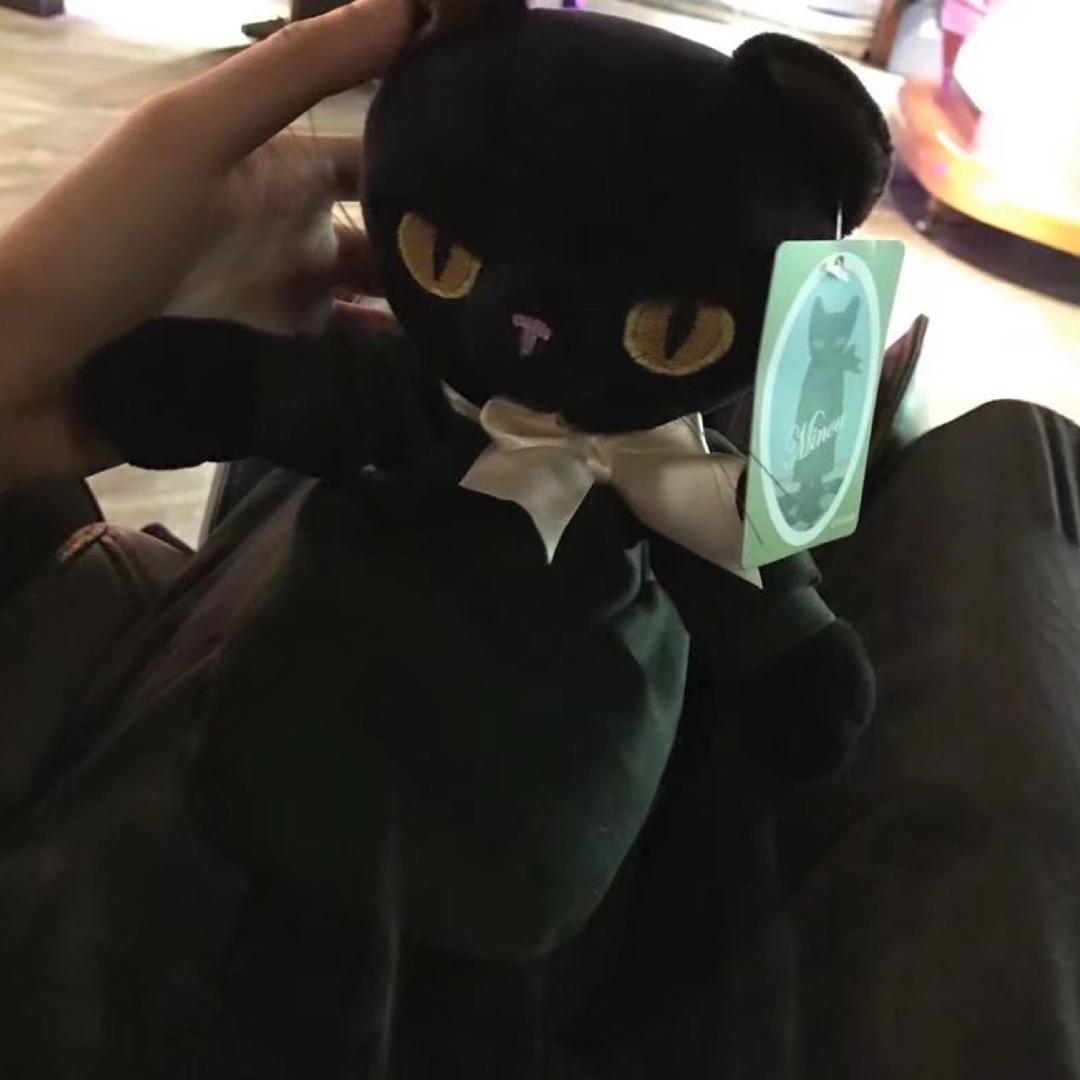ʚʕ̯•͡˔•̯᷅ʔɞ～～