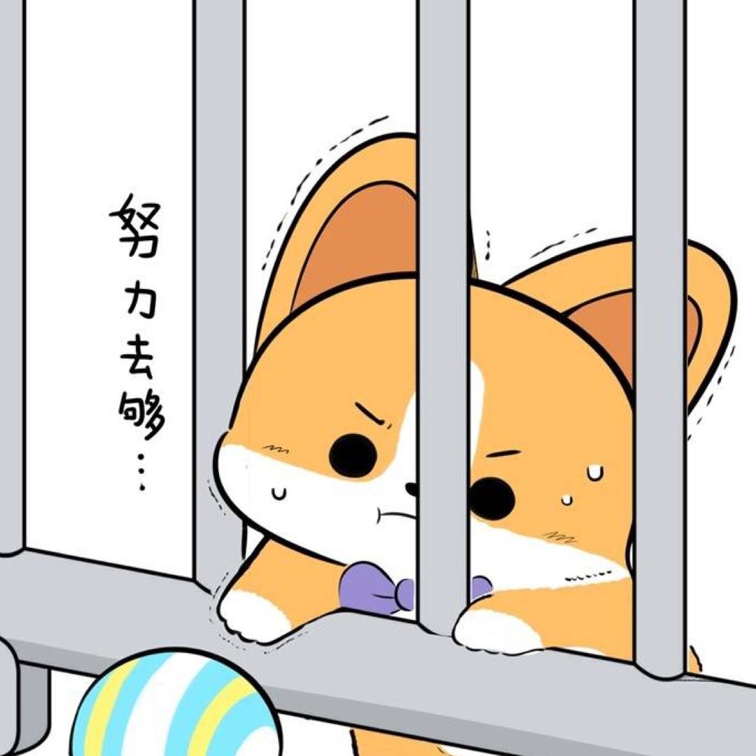 🌈Mr.喵喵喵🌈