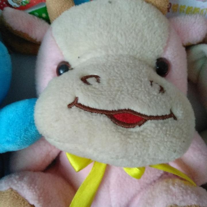 康哥