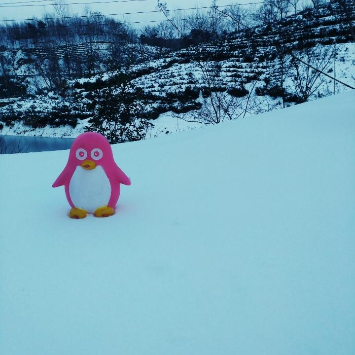 徐家岭小简车业