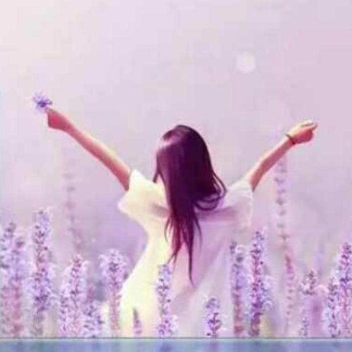 🌞清晨的一缕阳光🌸