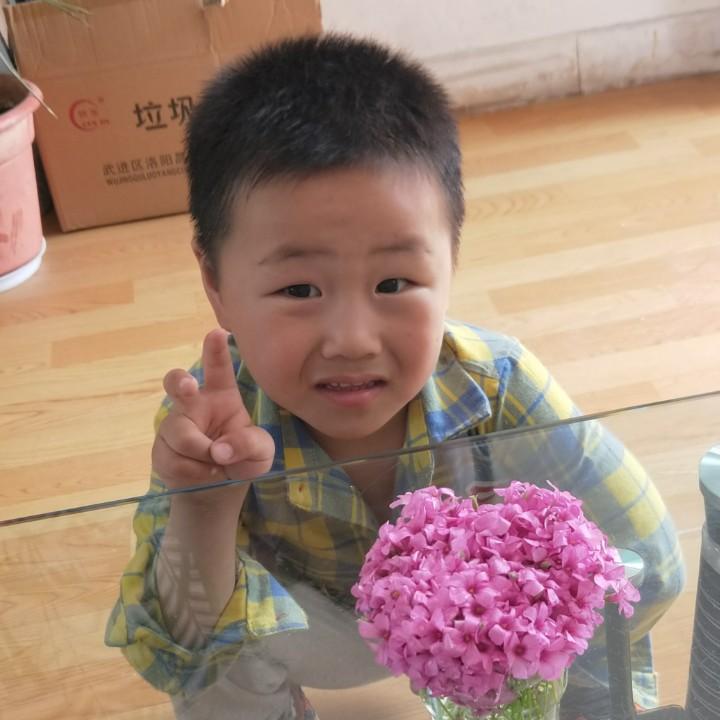 博豪