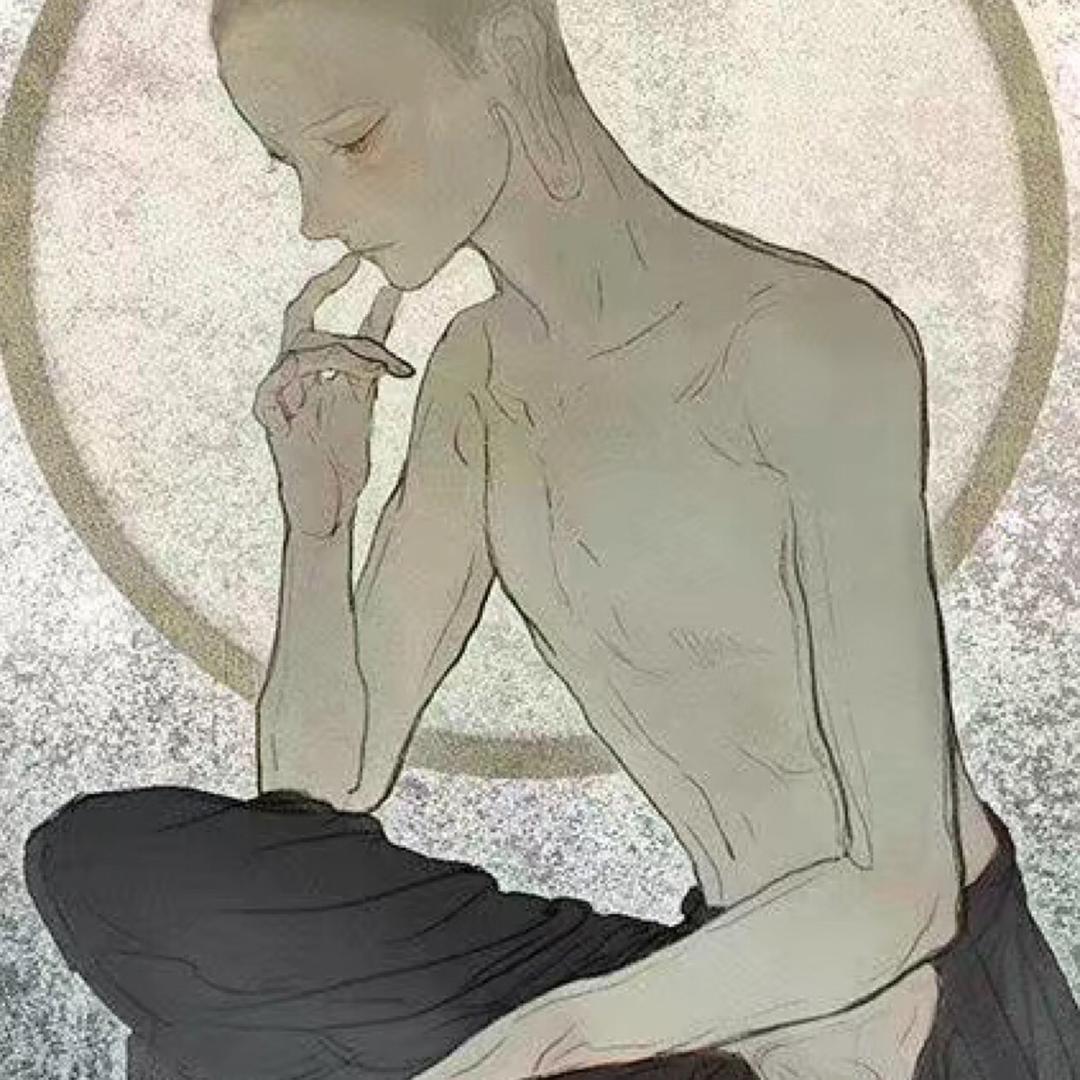 冥河水母evity