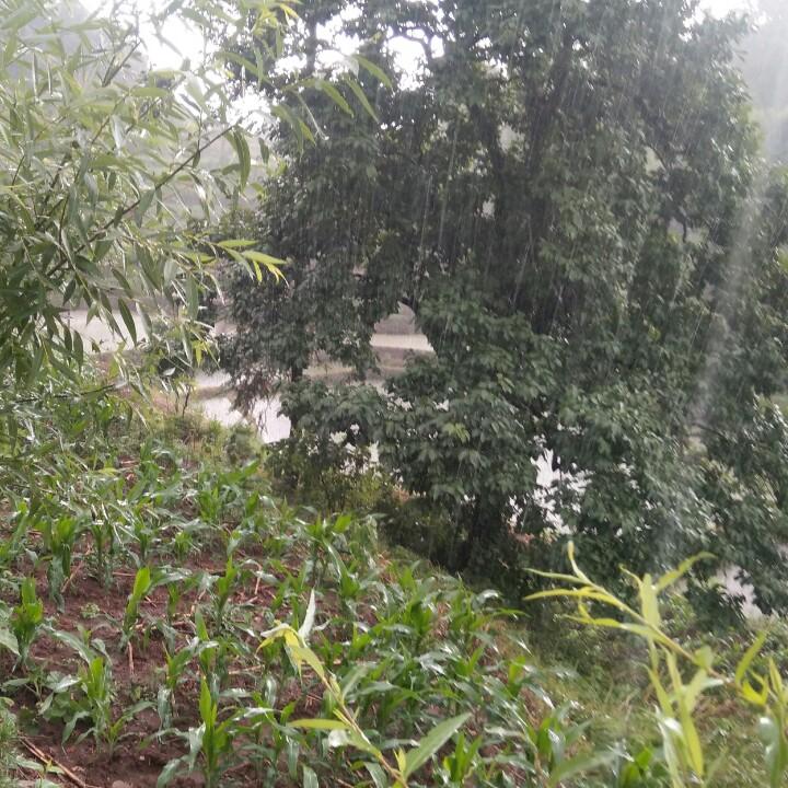 贵州挖歌