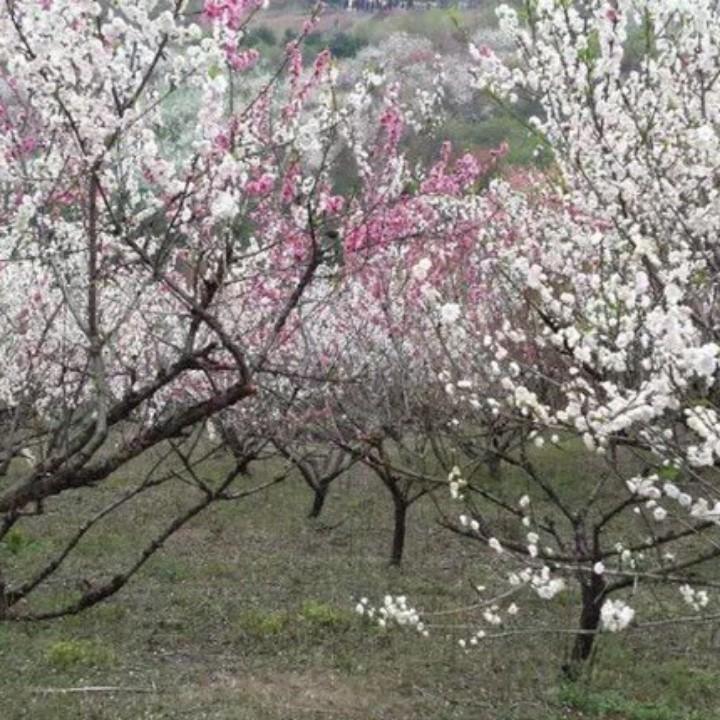 点睛布艺