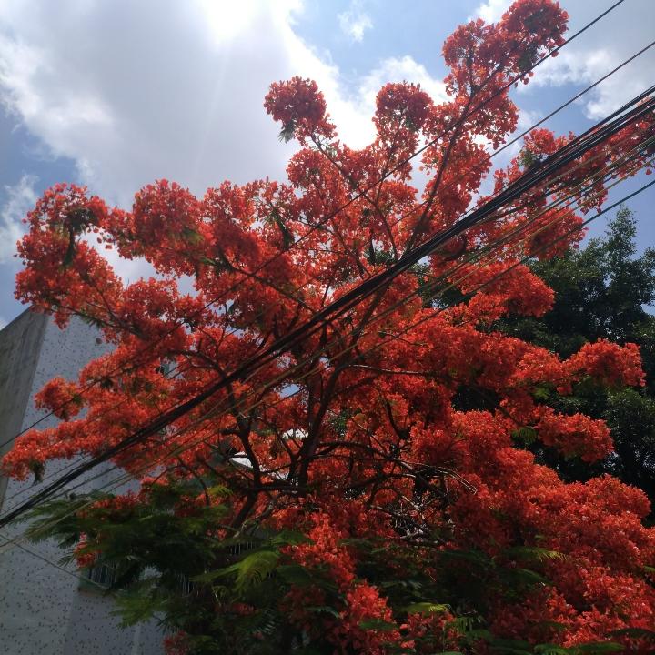 同好