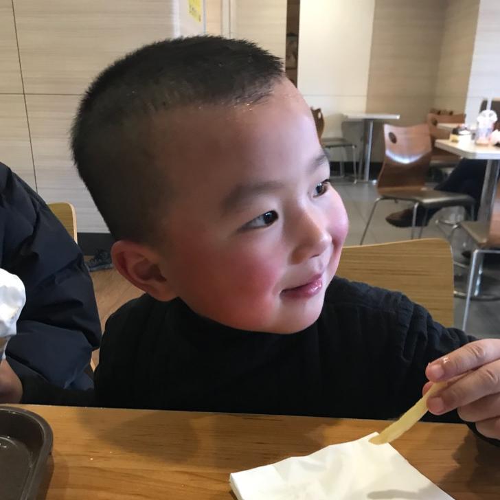 鹰翔万里