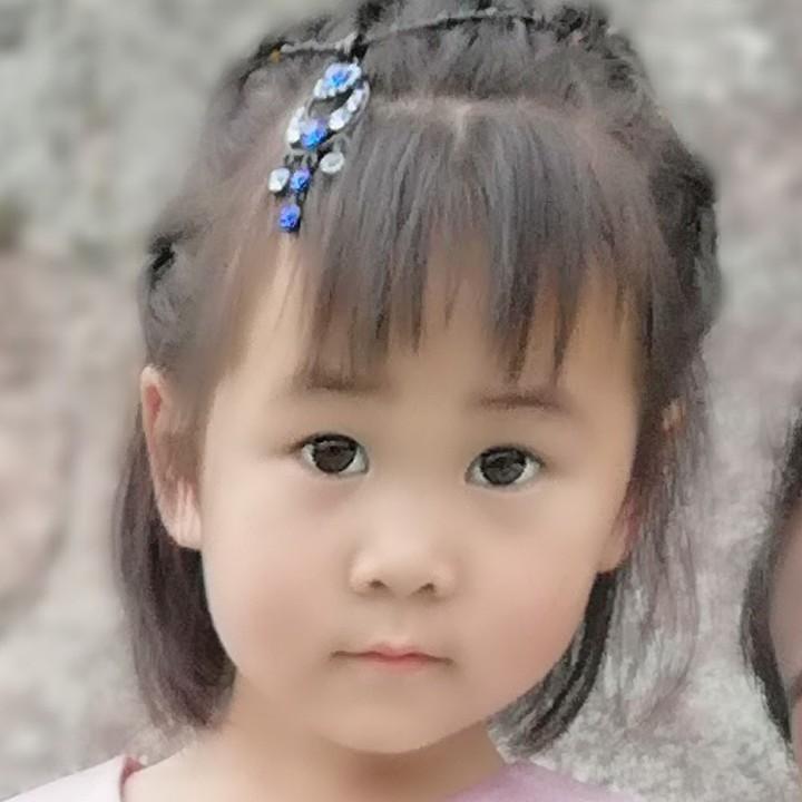 xiao猪猪