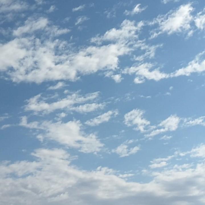 草原雪飘