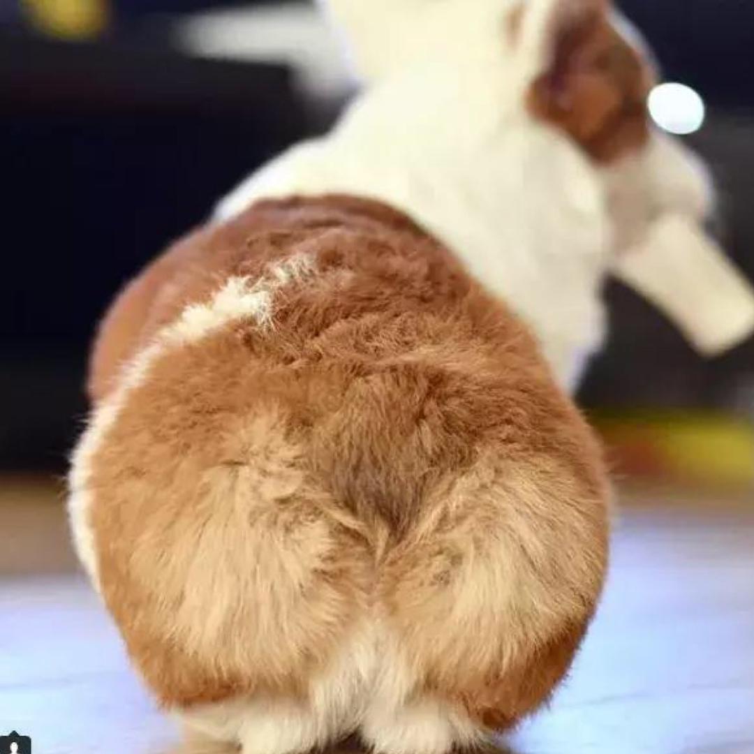 行程结束