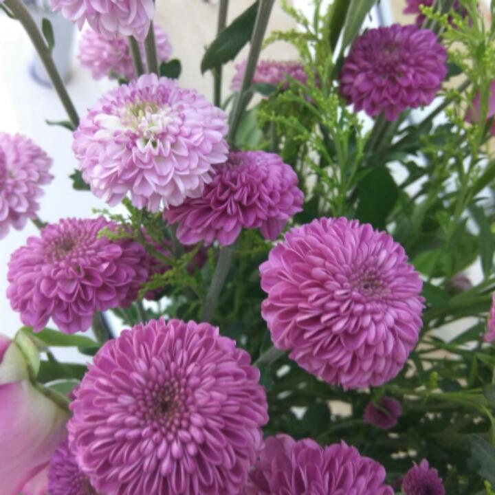 姚小茜