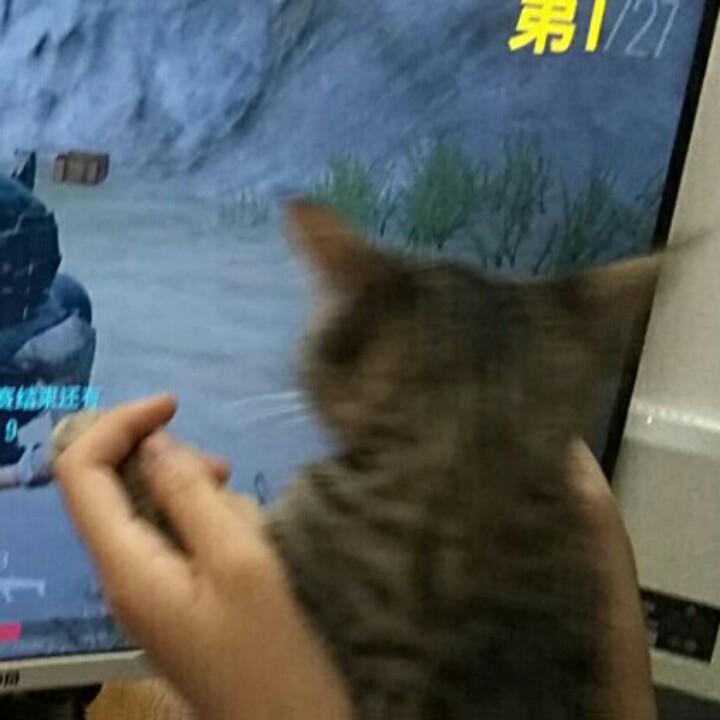 睡瘾
