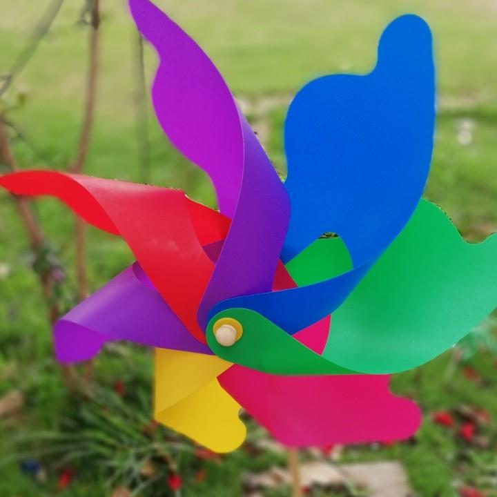 随心而行