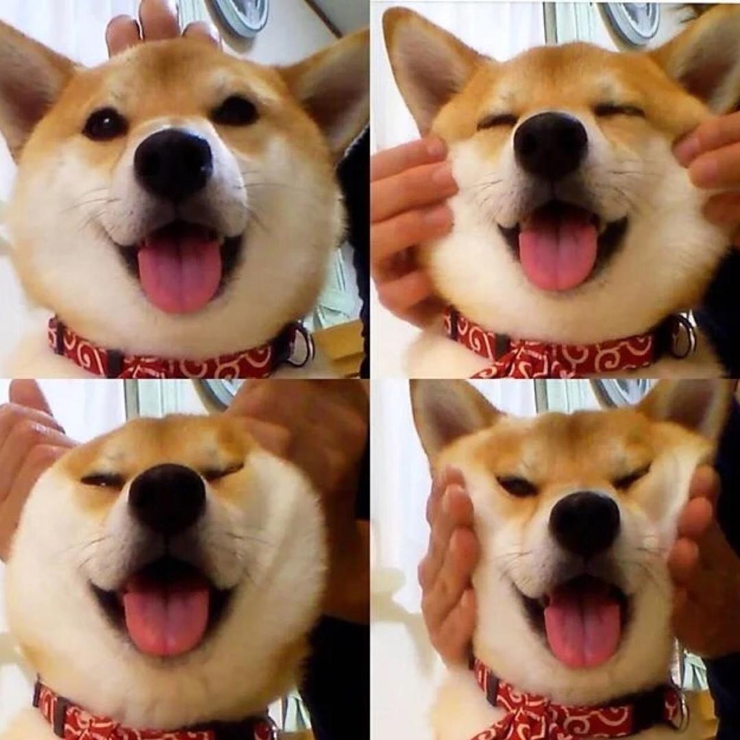 手工汉堡主理人