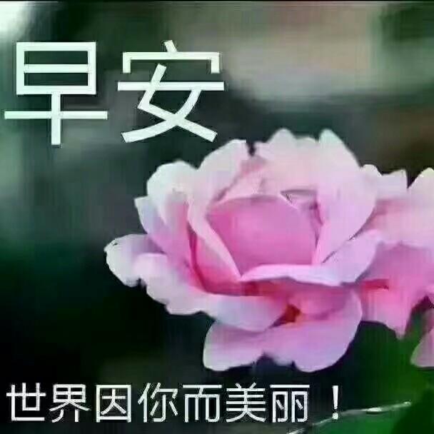 忘忧草